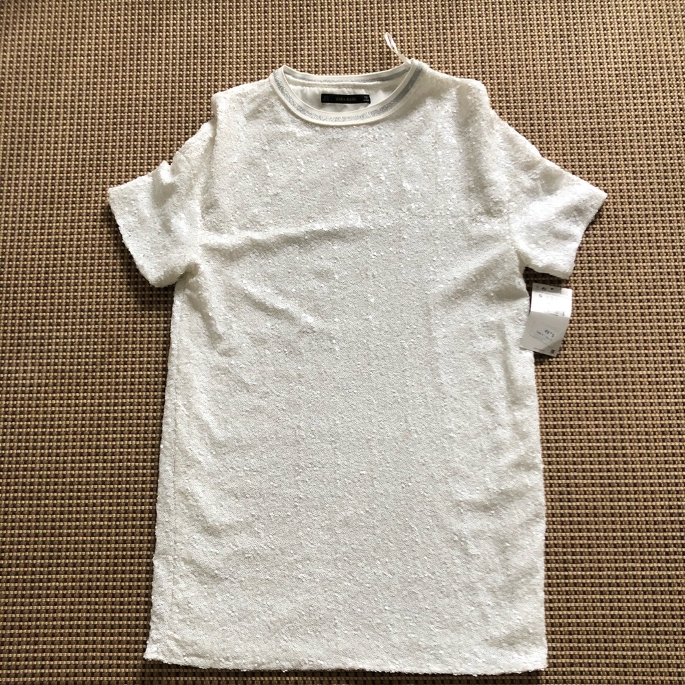Zara sequin dress